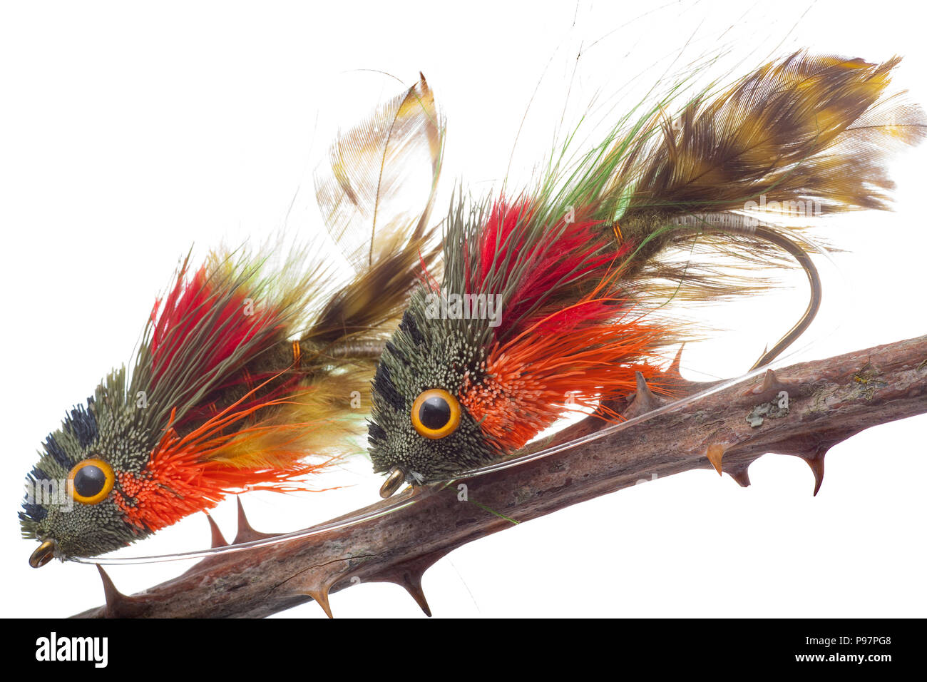 De grandes mouches de pêche conçu pour la capture de poissons prédateurs, comme le brochet, Esox lucius. Photographié dans un studio sur un fond blanc. Dorset England UK Banque D'Images