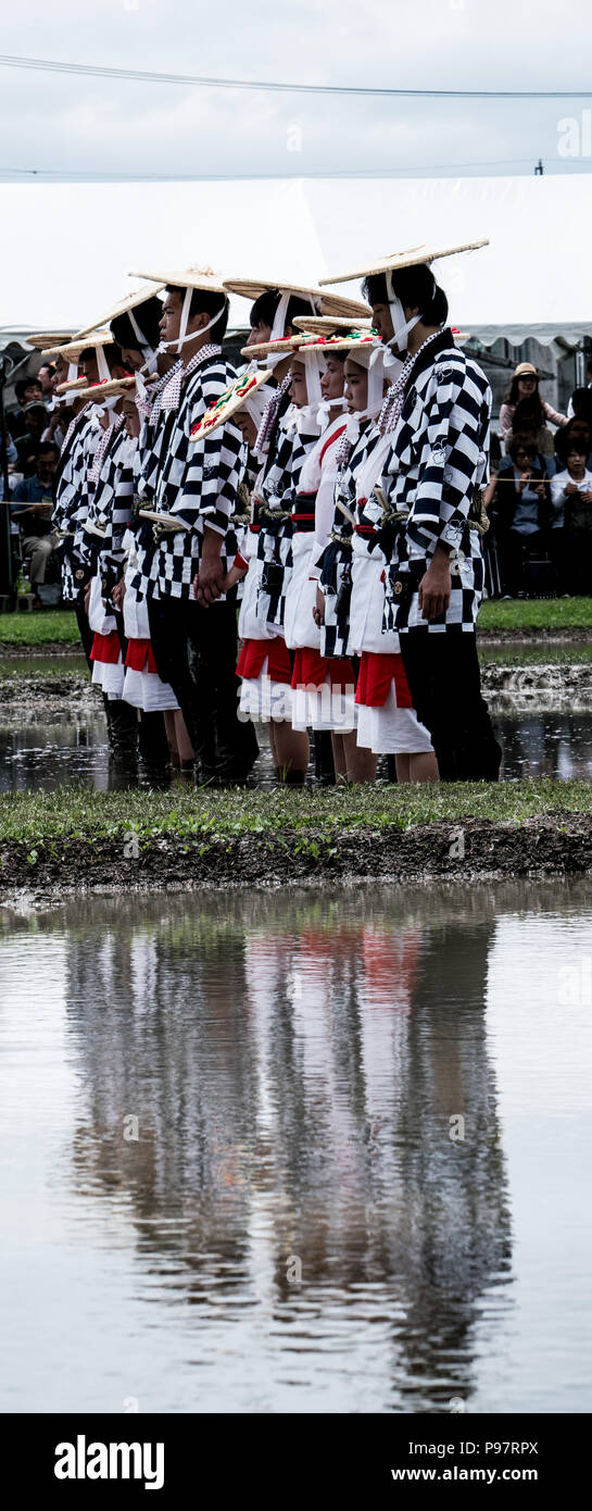 Au Japon, où le riz est considéré comme un don des dieux, la plantation est célébrée comme un événement sacré. N'Isobe Omita festival est organisé chaque année à proximité de sanctuaire d'Ise. Banque D'Images