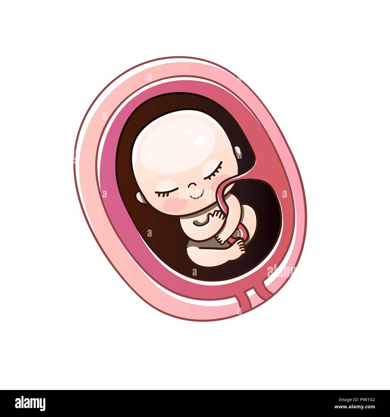 La croissance de l'embryon mois de grossesse. Foetus humain à l'intérieur de l'utérus mois.illustrations vectorielles. Illustration de Vecteur