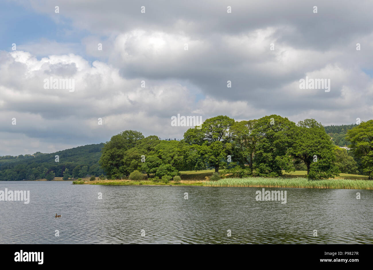 Esthwaite Water dans le Parc National du Lake District, Cumbria Banque D'Images