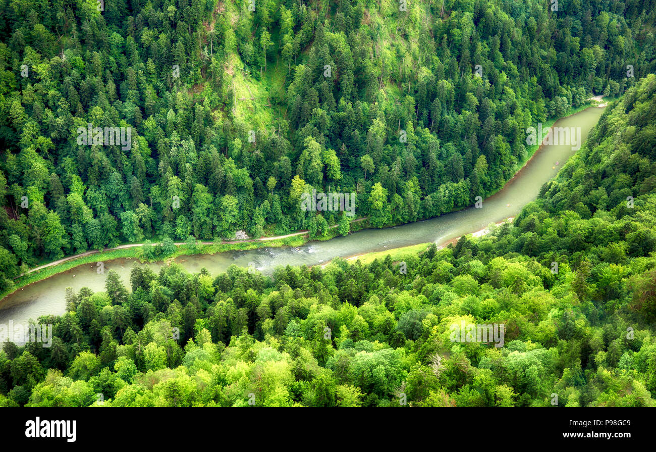 Vert forêt avec rivière, vue aérienne comme arrière-plan. Banque D'Images