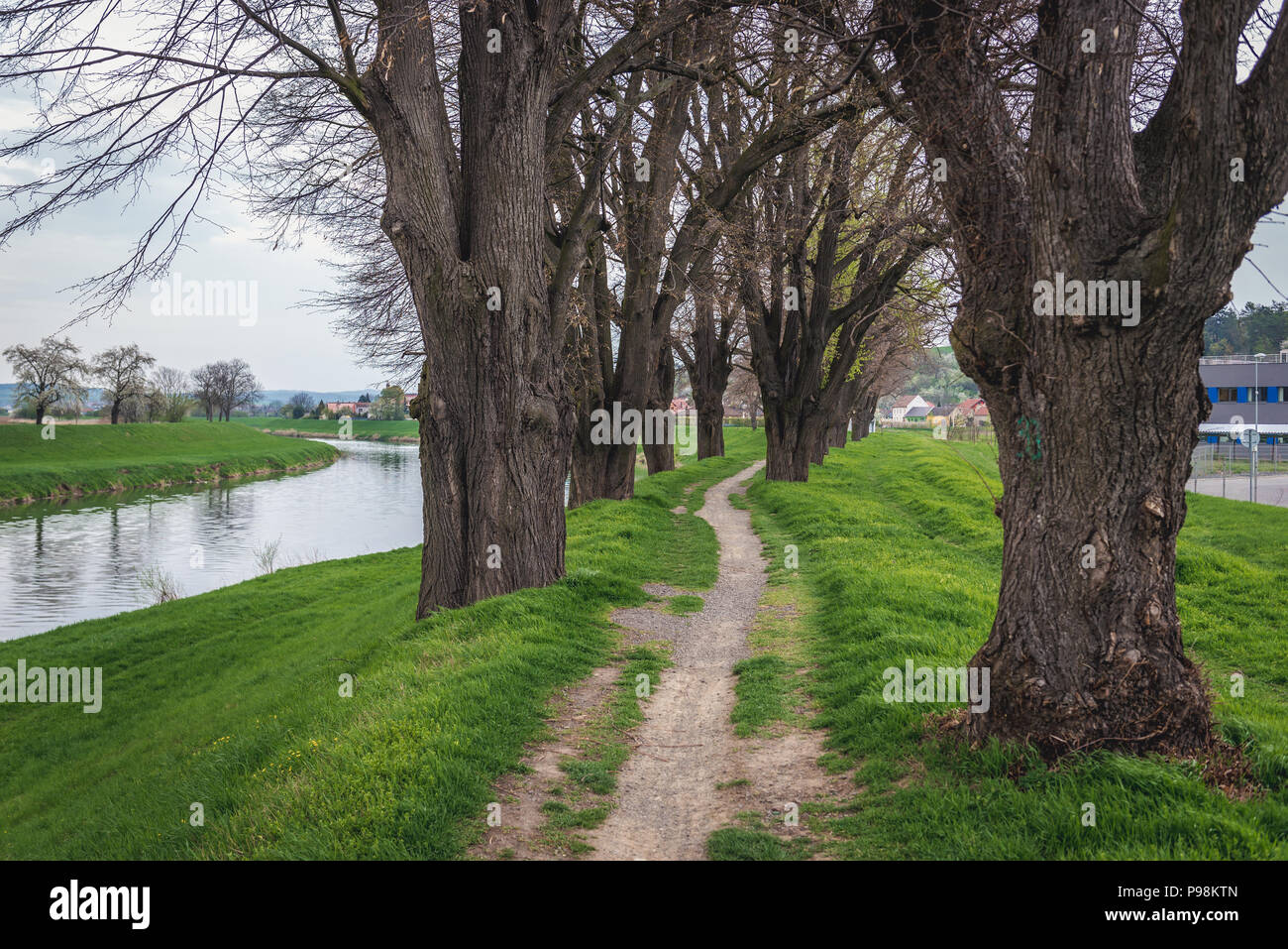 Sur le chemin d'une banque de la rivière Morava à Uherske Hradiste ville dans la région de Zlin, en Moravie en République Tchèque Banque D'Images