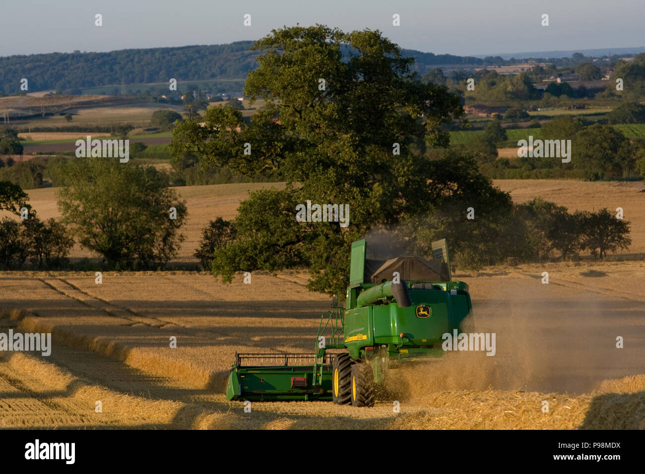 Close up of green à la moissonneuse-batteuse au travail un soir d'été dans les champs dans le Shropshire, 2011. Banque D'Images