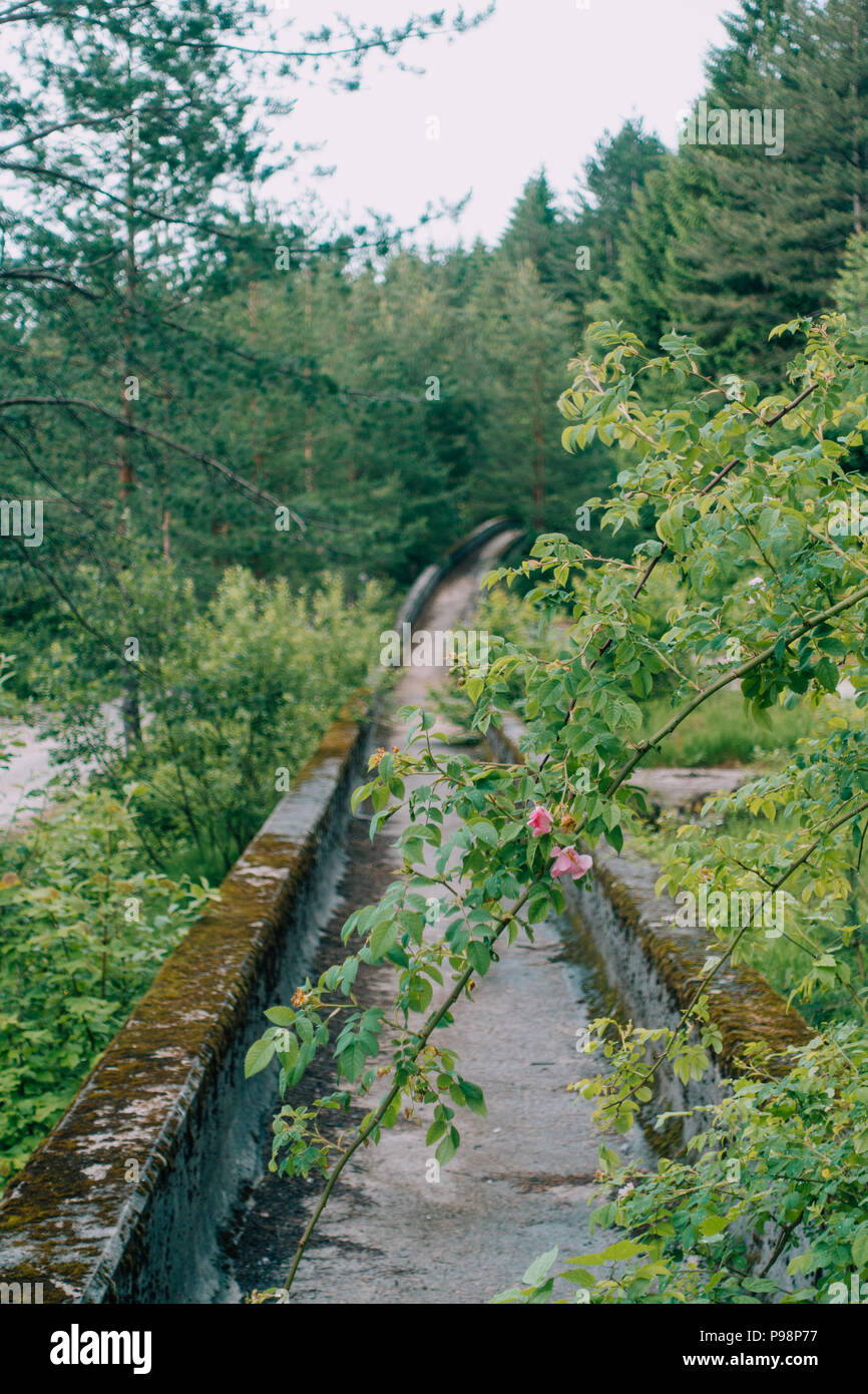 Le désormais ancien béton des Jeux Olympiques de Sarajevo 1984 piste de bobsleigh et de luge à travers la forêt des courbes, couverts de graffitis Banque D'Images