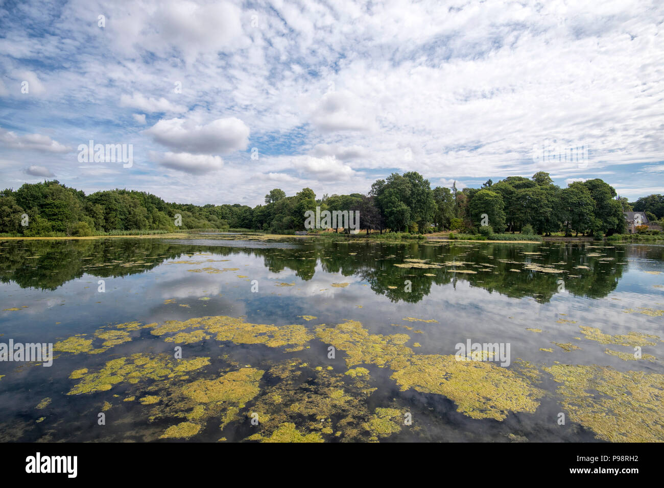 La partie supérieure du lac vu depuis les ruines d'un fort à Newstead Abbey dans le Nottinghamshire, Angleterre, Royaume-Uni Banque D'Images