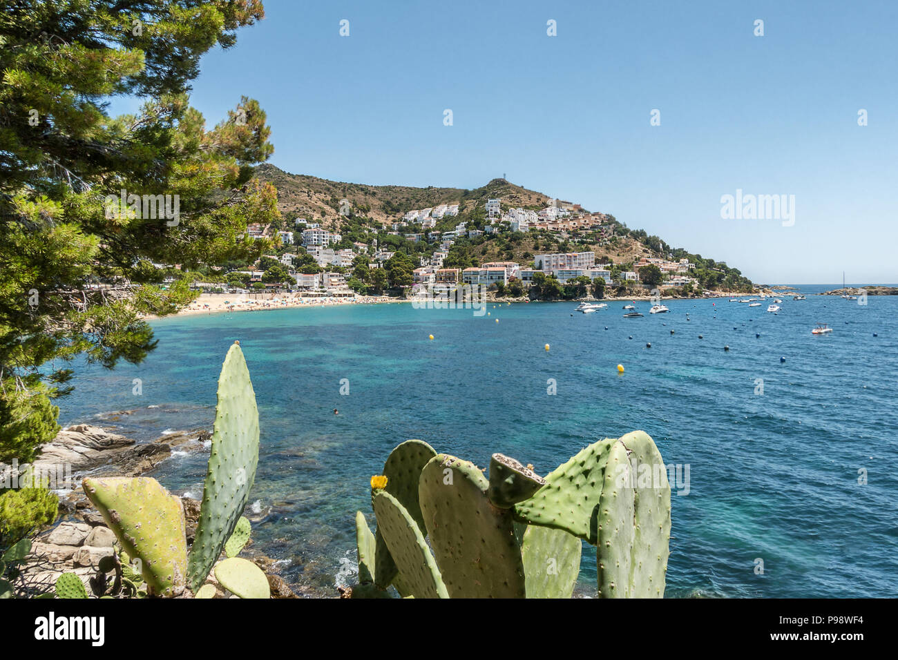 Canyelles roses sur le Cap de Creus Costa Brava Espagne Banque D'Images