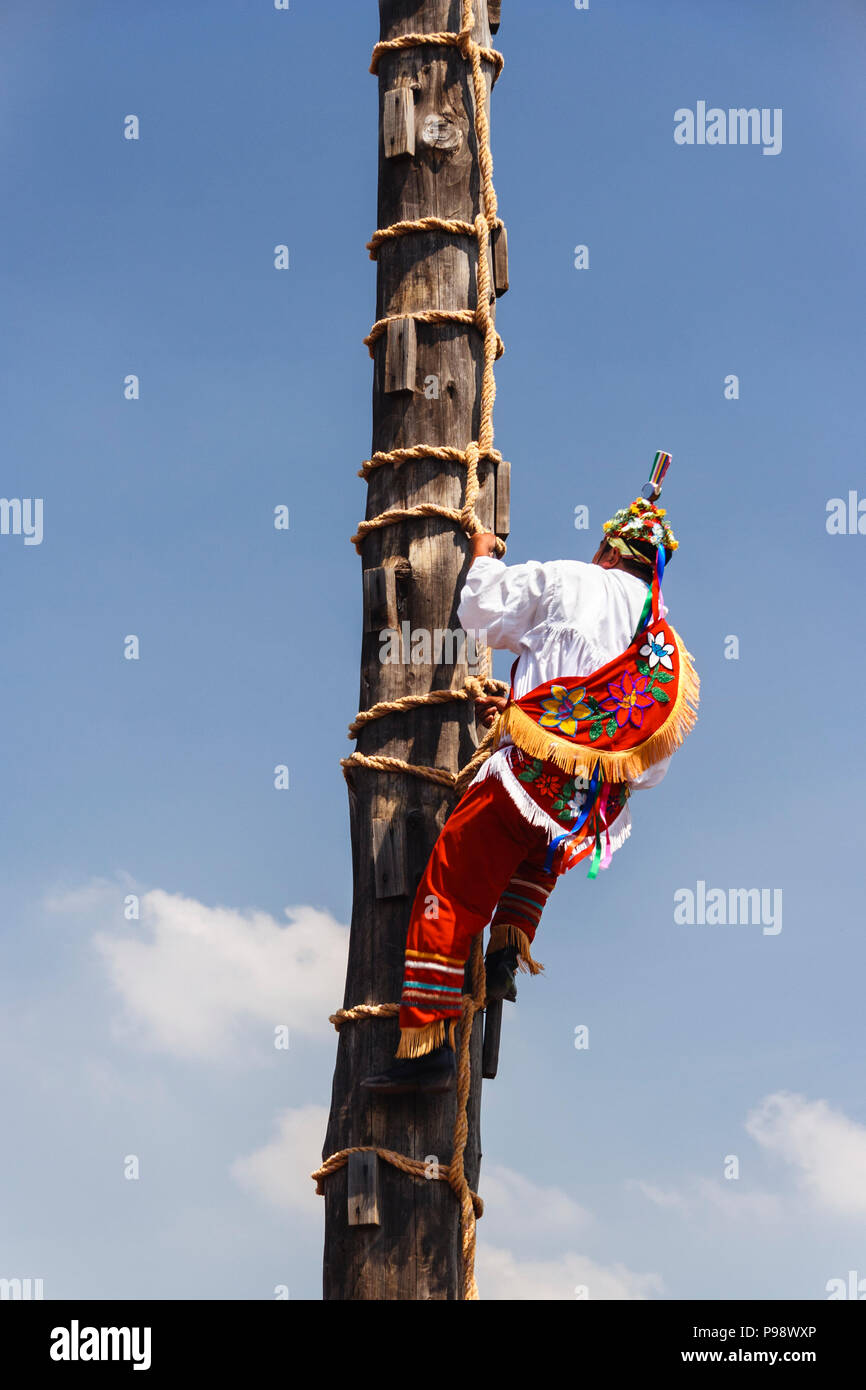 Teotihuacan, Mexique : homme totonaque en vêtements traditionnels de l'escalade 30 pôle ms des Voladores ou hommes volants d'une cérémonie nommée patrimoine culturel Banque D'Images