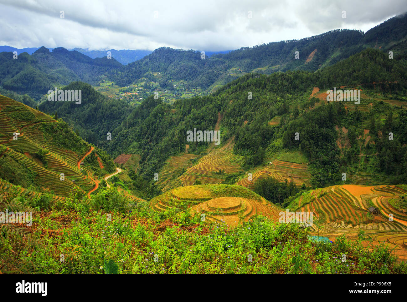 Mu Cang Chai Banque D'Images