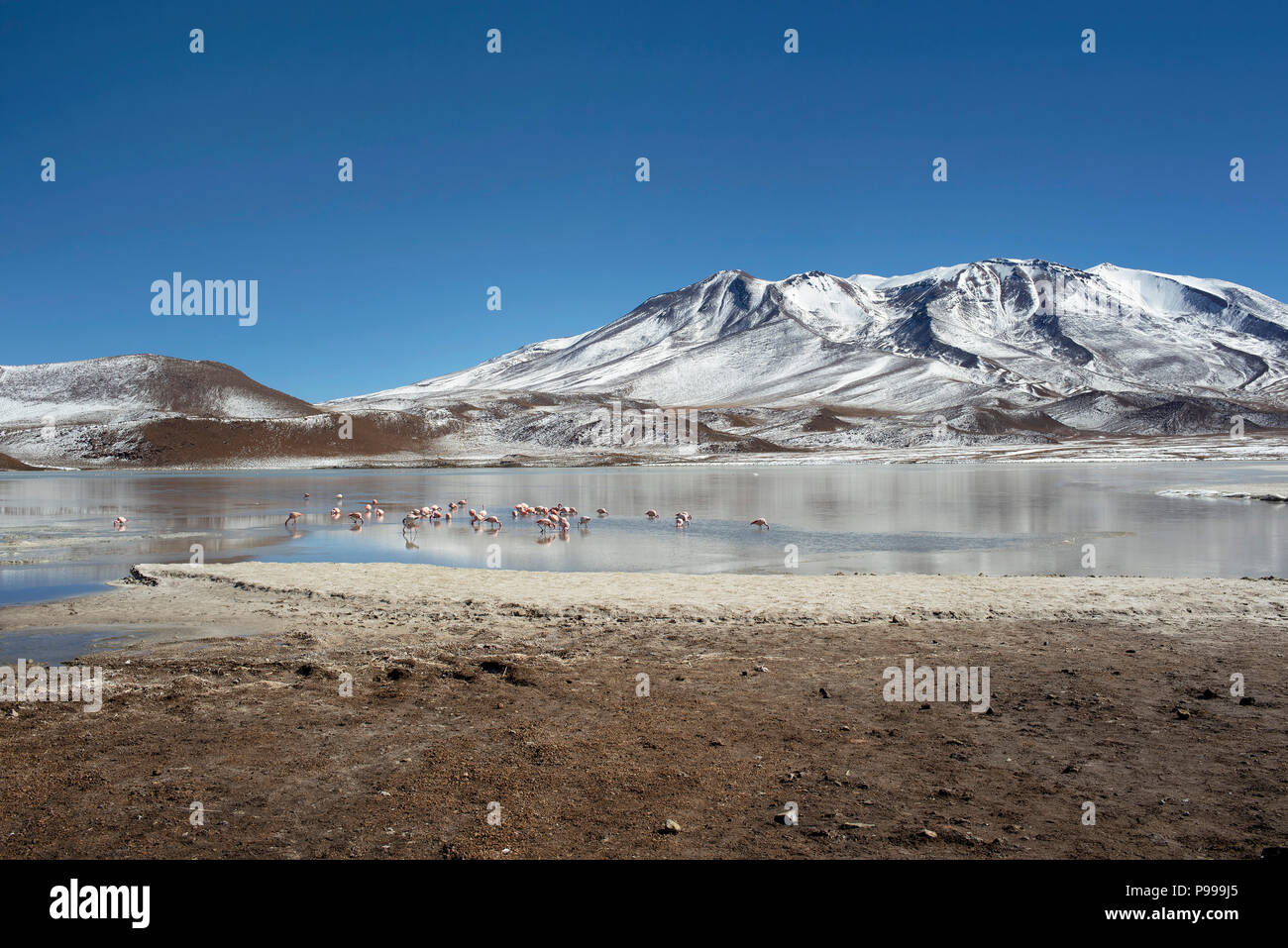 Le paysage d'hiver Cañapa Laguna Cañapa (lac Salé) dans le département de Potosí, en Bolivie. Banque D'Images