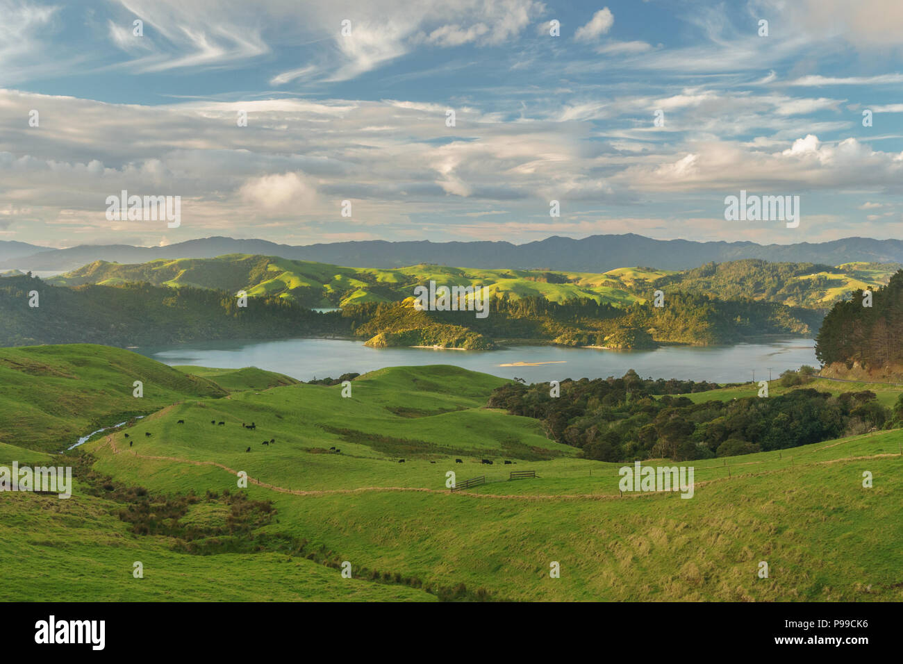 Vue sur la péninsule de Coromandel à partir de l'autoroute 25 dans la soirée d'hiver, après la pluie. Près de Manaia, 15 km au sud de la ville de Coromandel. Nouvelle Zélande Banque D'Images