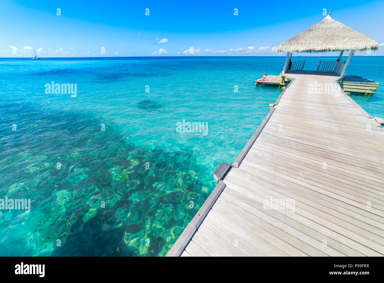 Luxury bungalows sur pilotis dans la mer tropicale sous ciel bleu. Arrière-plan de vacances tranquille Banque D'Images