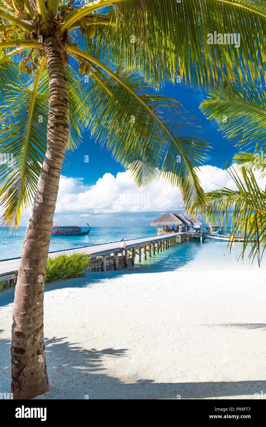Maldives island, l'eau de luxe villas resort et jetée en bois. Beau Ciel et nuages et fond de plage d'été vacances et voyage Banque D'Images
