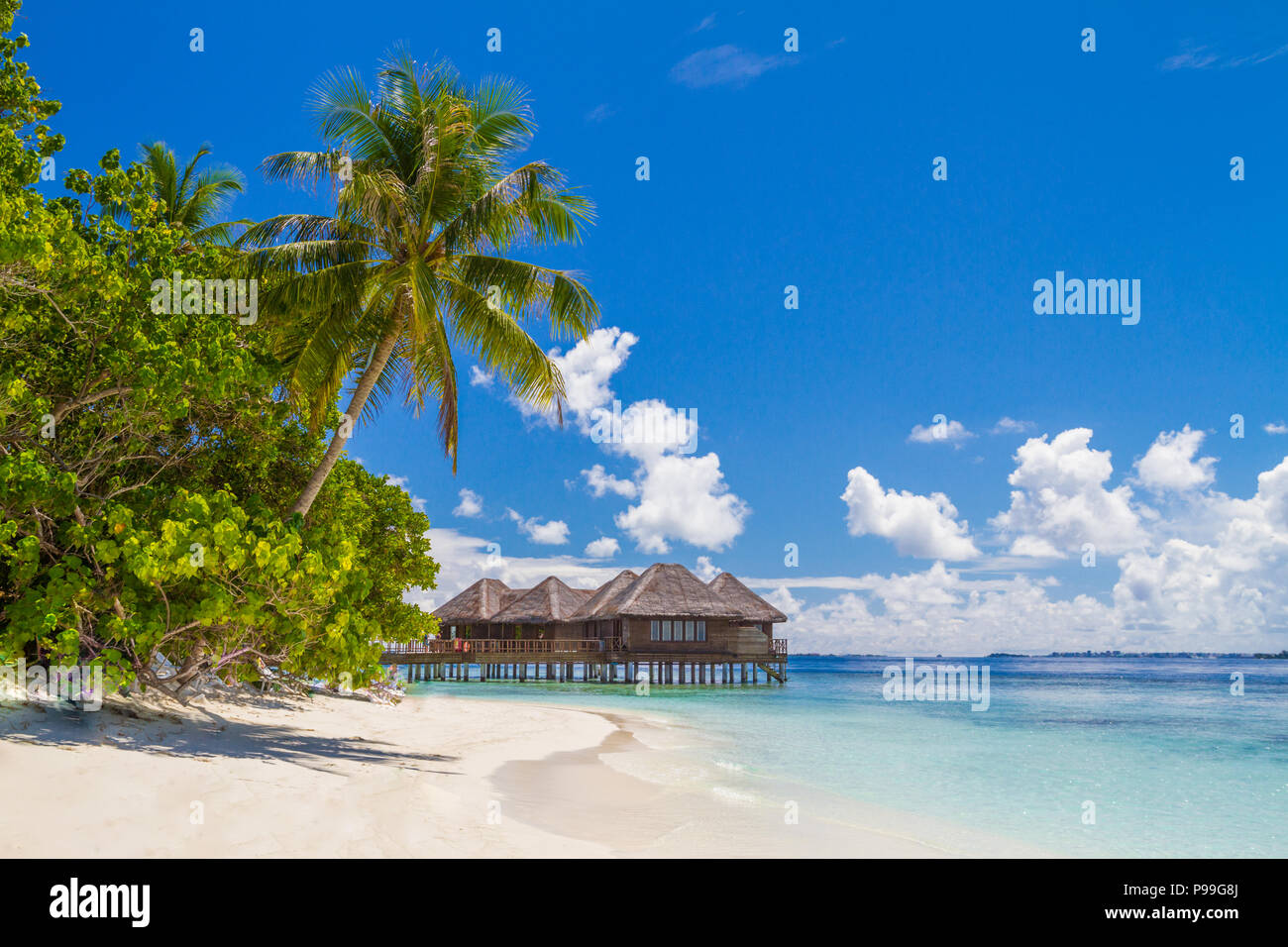 Maldives fantastique fond de plage. Belle plage de sable blanc et de palmiers sous ciel bleu. Voyage de luxe et vacances Banque D'Images