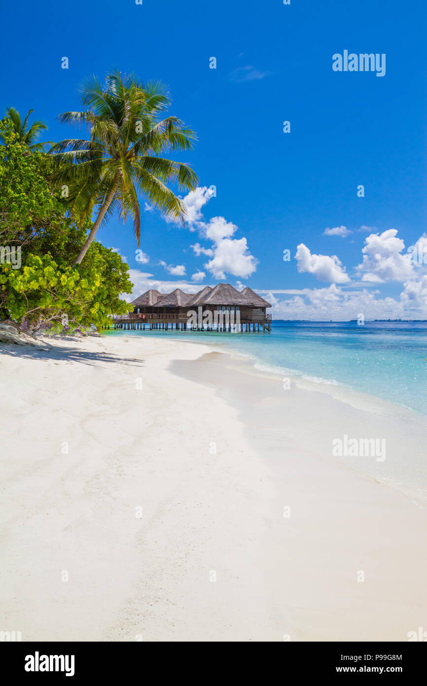 Maldives fantastique fond de plage. Belle plage de sable blanc et de palmiers sous ciel bleu. Voyage de luxe et vacances Banque D'Images