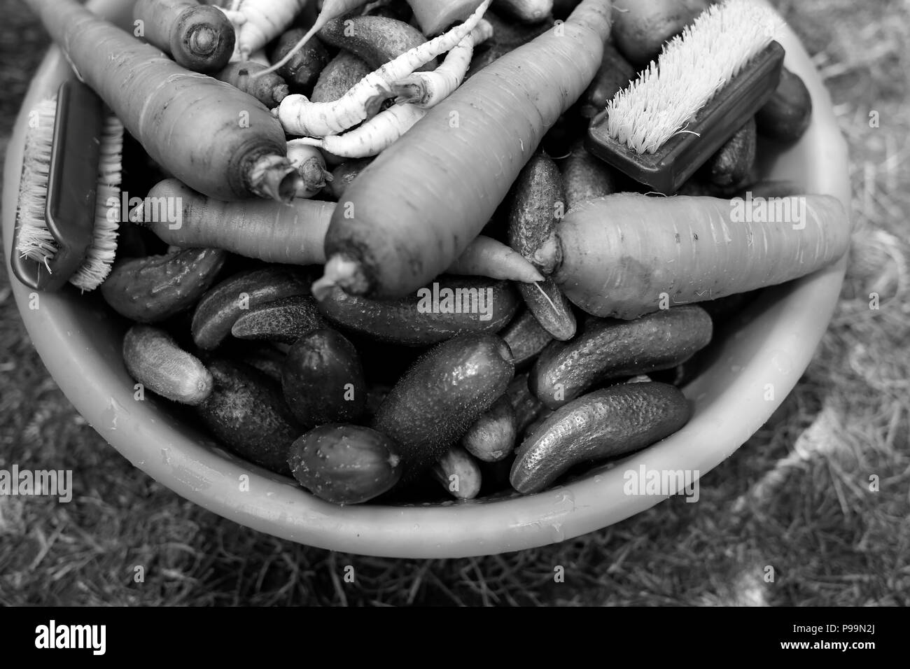Les concombres et les carottes bio dans un bol (Vue de dessus, la préparation de marinades Banque D'Images