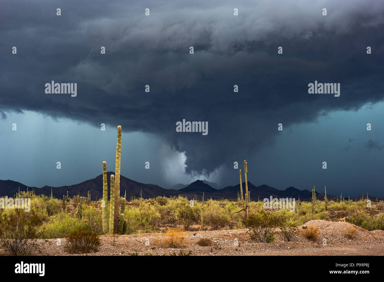 Un orage de mousson avec des nuages sombres et spectaculaires et de la pluie traverse le désert d'Arizona près de Wickenburg Banque D'Images