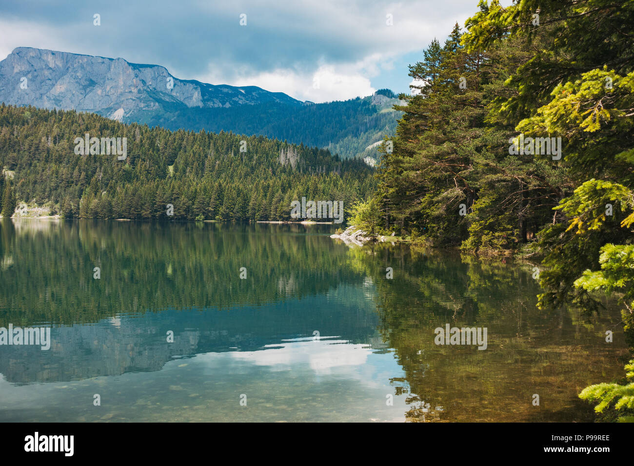 Donnant sur les eaux cristallines de Crno Jezero (Lac Noir) dans le parc national de Durmitor, Monténégro Banque D'Images