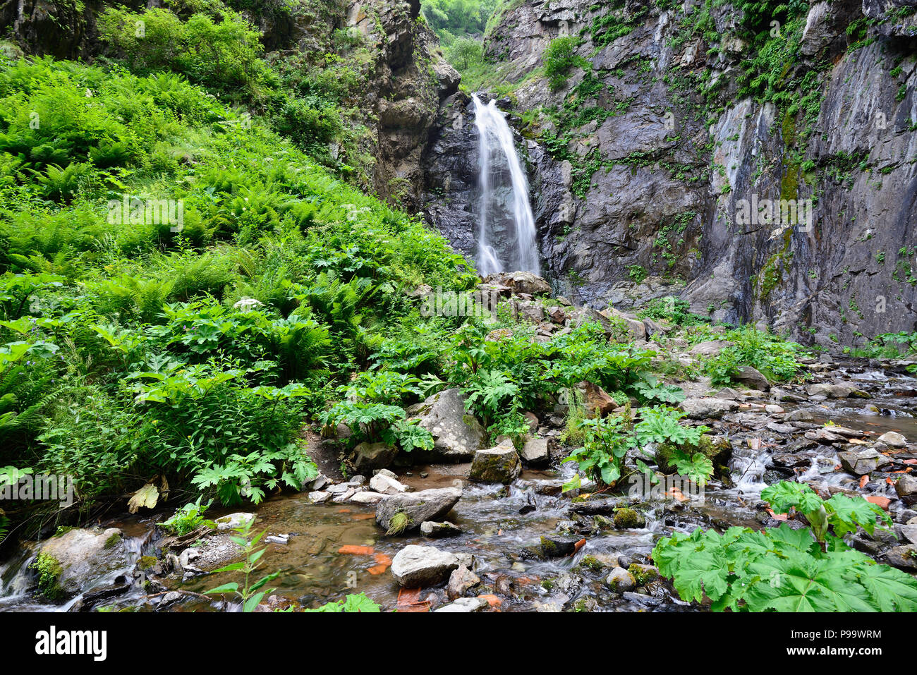 Gveleti petites chutes d'être dans une gorge Dariali près de la ville de Kazbegi dans les montagnes du Caucase, Geprgia Banque D'Images