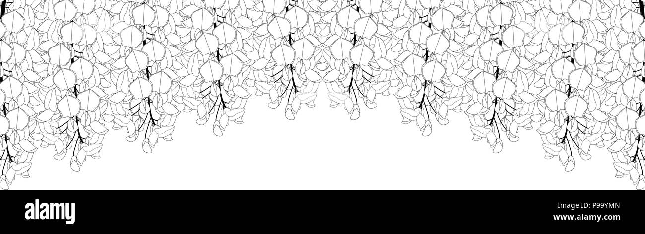 Wisteria isolé sur fond blanc avec l'exemplaire de l'espace. Vector Illustration. Illustration de Vecteur