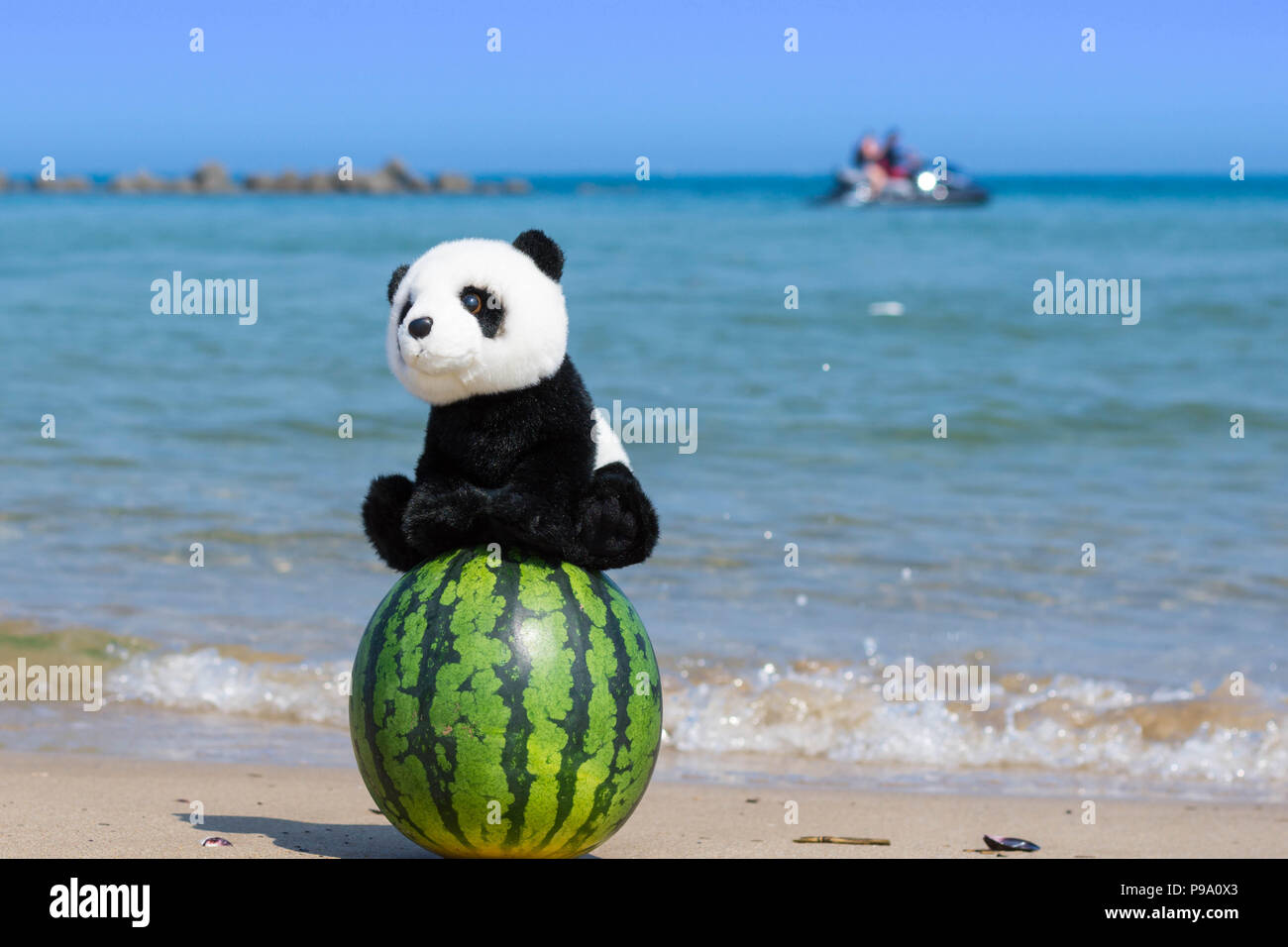 Une jolie peluche panda assis sur un ensemble de la pastèque sur la plage avec l'océan bleu en été. Banque D'Images