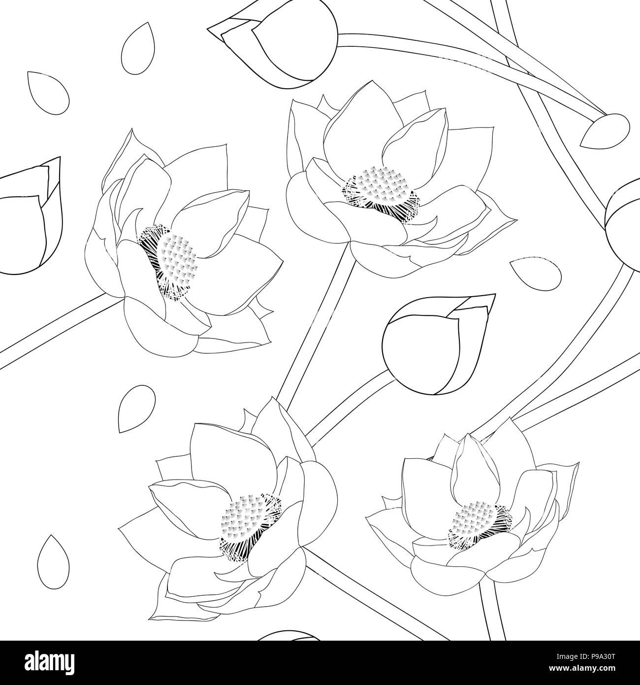 Lotus indien sur fond blanc. Vector Illustration. Illustration de Vecteur