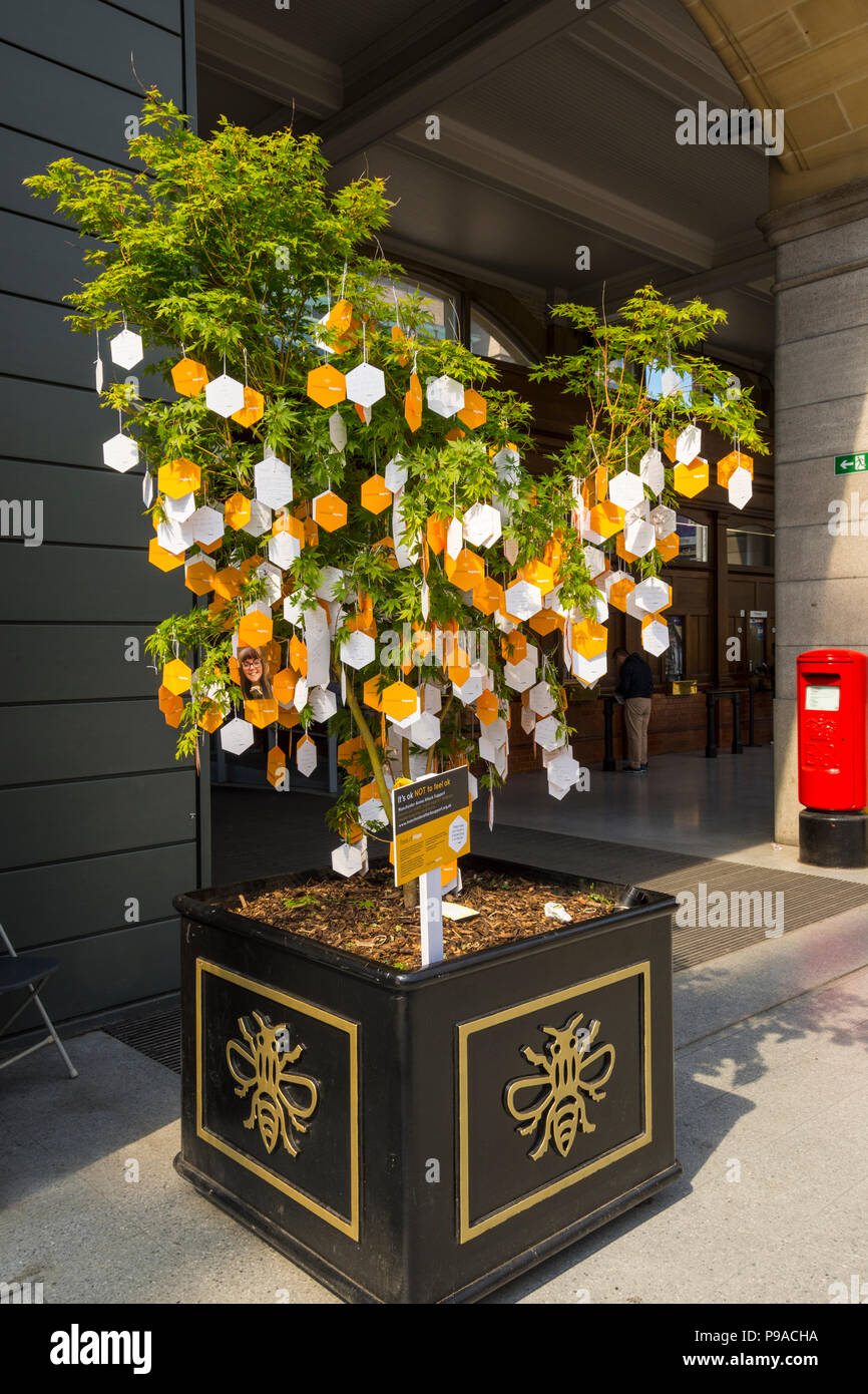 L'une des "arbres de l'espoir", un hommage aux victimes sur le premier anniversaire de l'attaque de Manchester Arena, Manchester, Angleterre, RU Banque D'Images