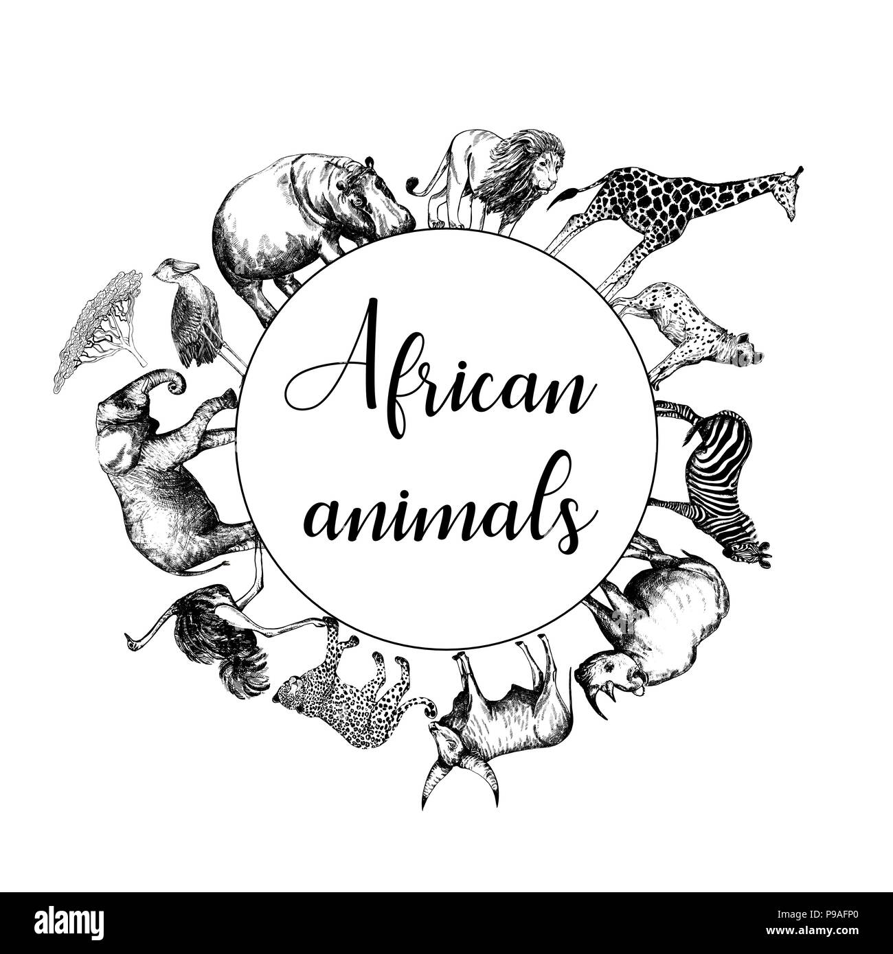 Ensemble de croquis dessinés à la main, des animaux d'Afrique style isolé sur fond blanc. Vector illustration. Illustration de Vecteur