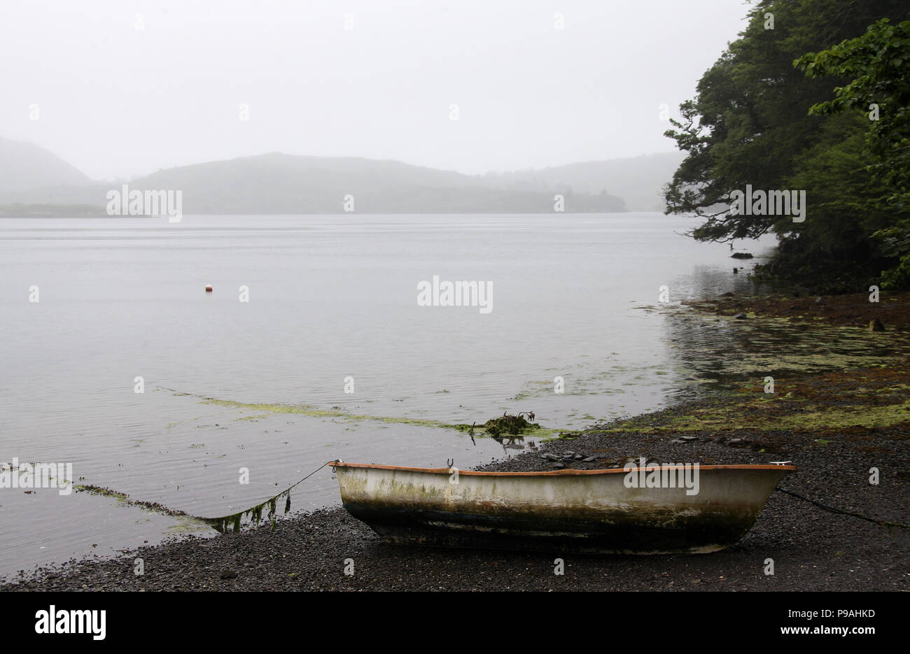 Lough Hyne Réserve Naturelle Marine dans le comté de Cork Banque D'Images