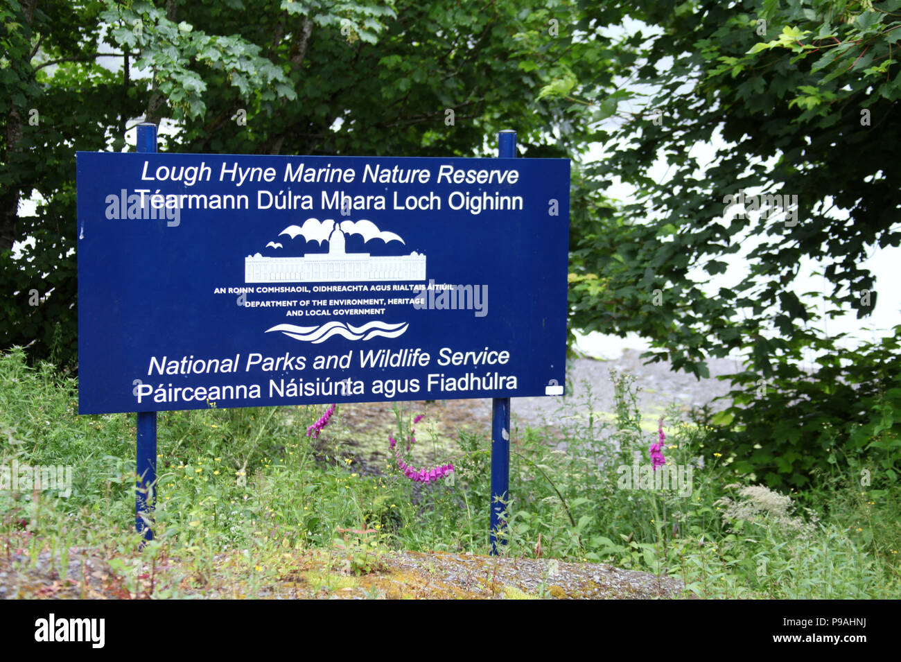 Lough Hyne Réserve Naturelle Marine dans le comté de Cork Banque D'Images