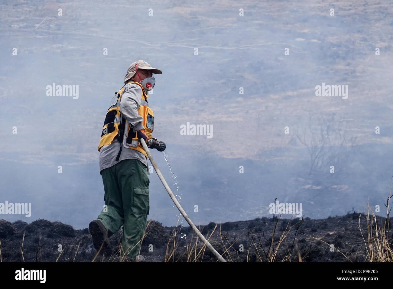 Conseil Régional Eshkol, Israël. 17 juillet, 2018. Les pompiers, le KKL forest rangers et des soldats combattre côte à côte pour éteindre un feu de forêt à l'ouest du kibboutz Beéri, dans le conseil régional Eshkol, près de la bande de Gaza, enflammé par des bombes incendiaires et explosifs livrés par les cerfs-volants ou des ballons gonflés à l'hélium de la bande de Gaza en Israël. Plus de 50 kilomètres carrés de champs agricoles et forestières ont été incendiés dans une vague d'incendies criminels, le terrorisme palestinien maintenant dans son quatrième mois. Credit : Alon Nir/Alamy Live News Banque D'Images