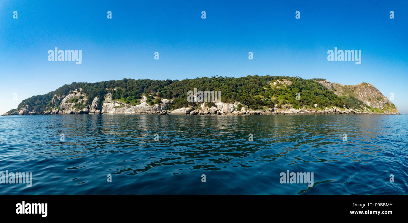 Queimada Grande Island, du Brésil, connue comme l'île du serpent, en raison d'une importante population de serpents venimeux très endémiques. L'un des plus dangereux Banque D'Images