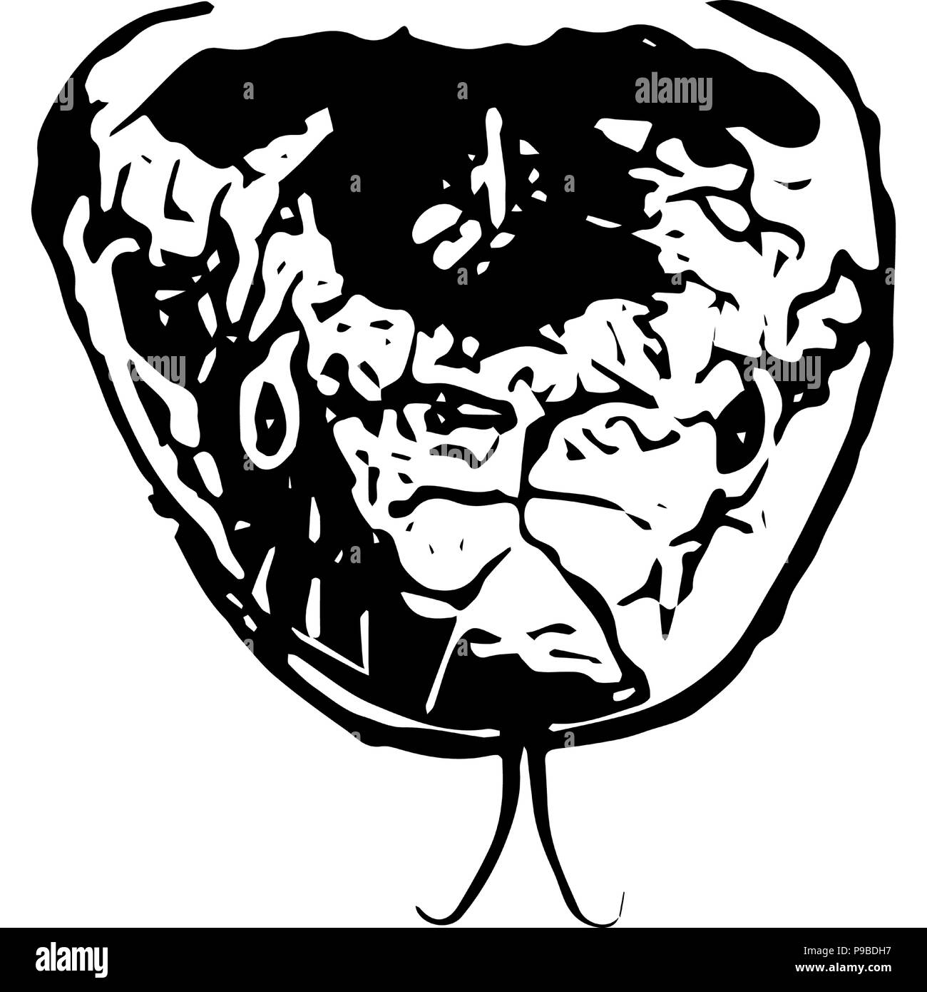 Graphique vectoriel noir et blanc d'une couleuvre lisse face-à. Illustration de Vecteur