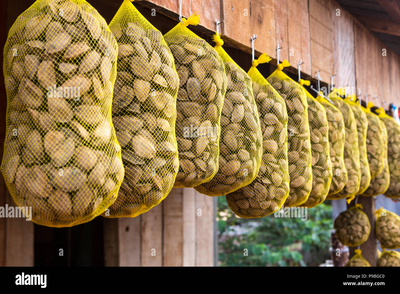 Pará, Brésil. Close up de noix du Brésil en vente à foire de rue en Amazonie. Banque D'Images