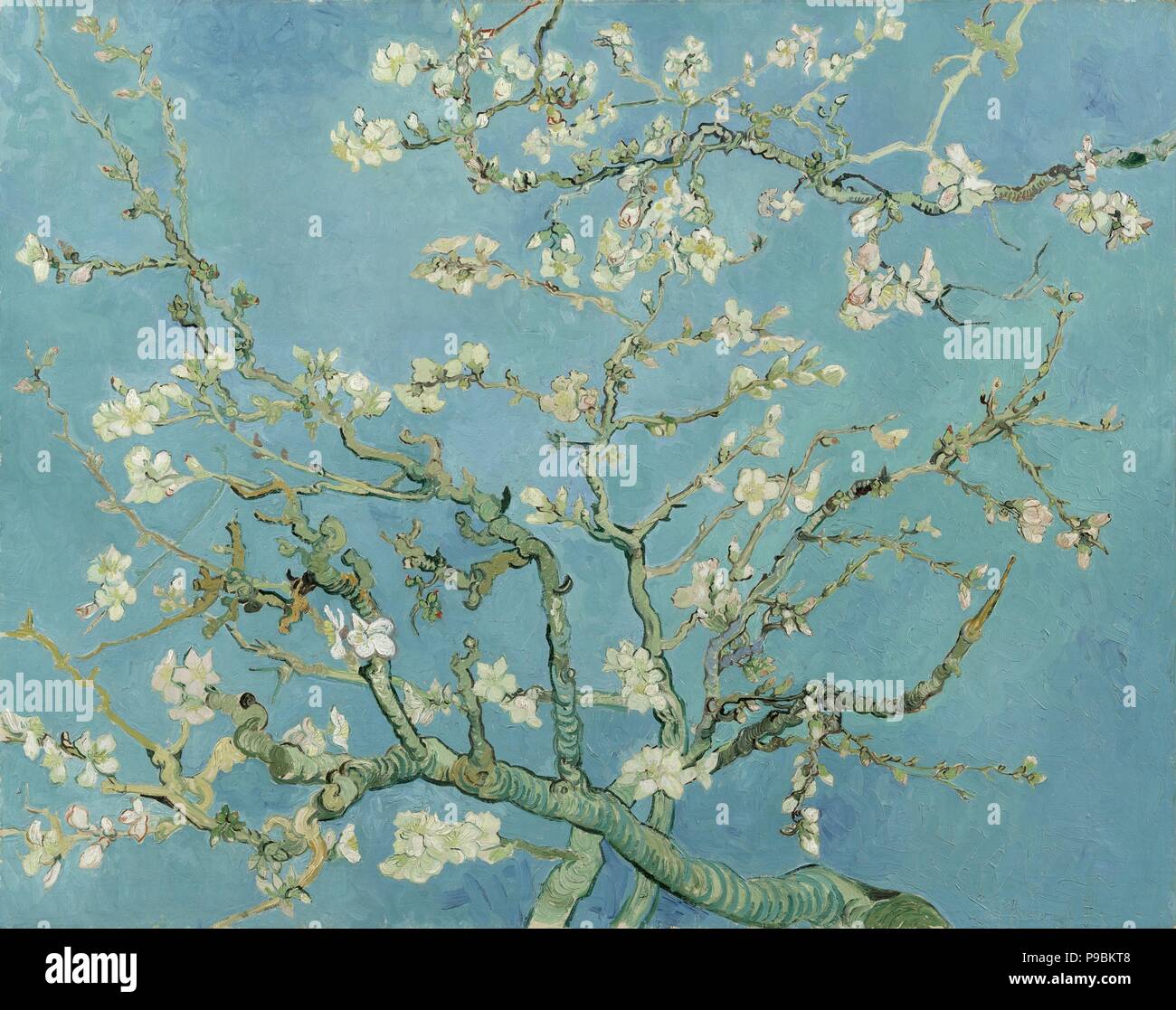 Almond Blossom. Musée : Musée Van Gogh, Amsterdam. Banque D'Images
