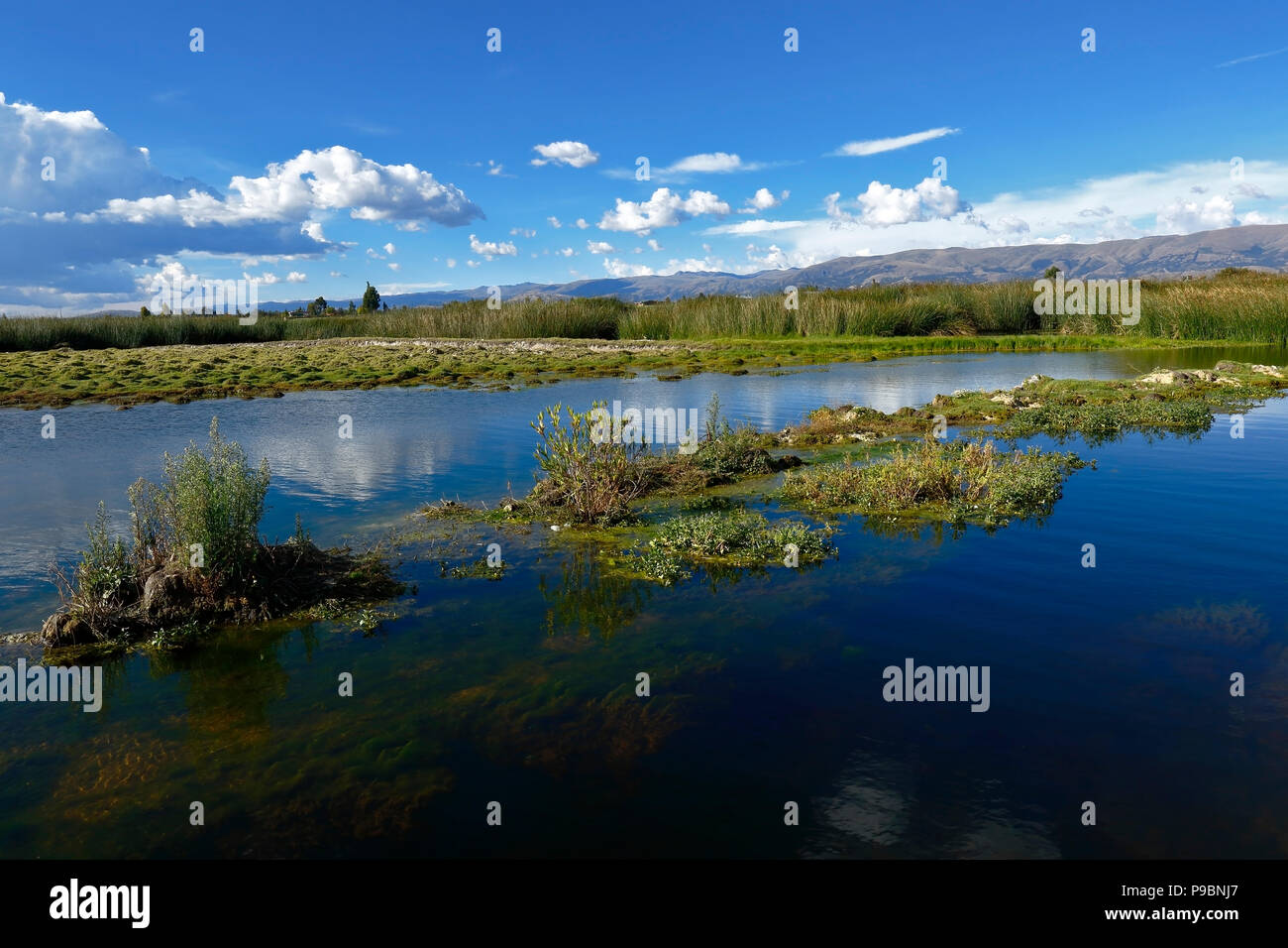 Bel après-midi sur une zone humide avec le compte de voir le ciel et la pureté de l'eau Banque D'Images