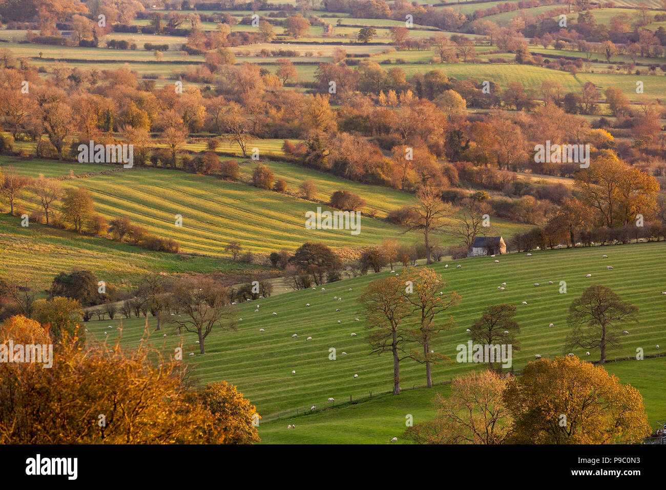 Vue panoramique sur les terres agricoles près de Brassington dans le Derbyshire Dales, England, UK Banque D'Images