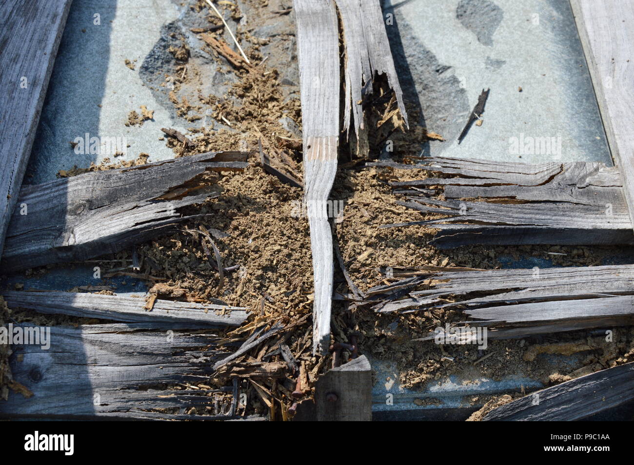 Splinter box Banque de photographies et d’images à haute résolution - Alamy