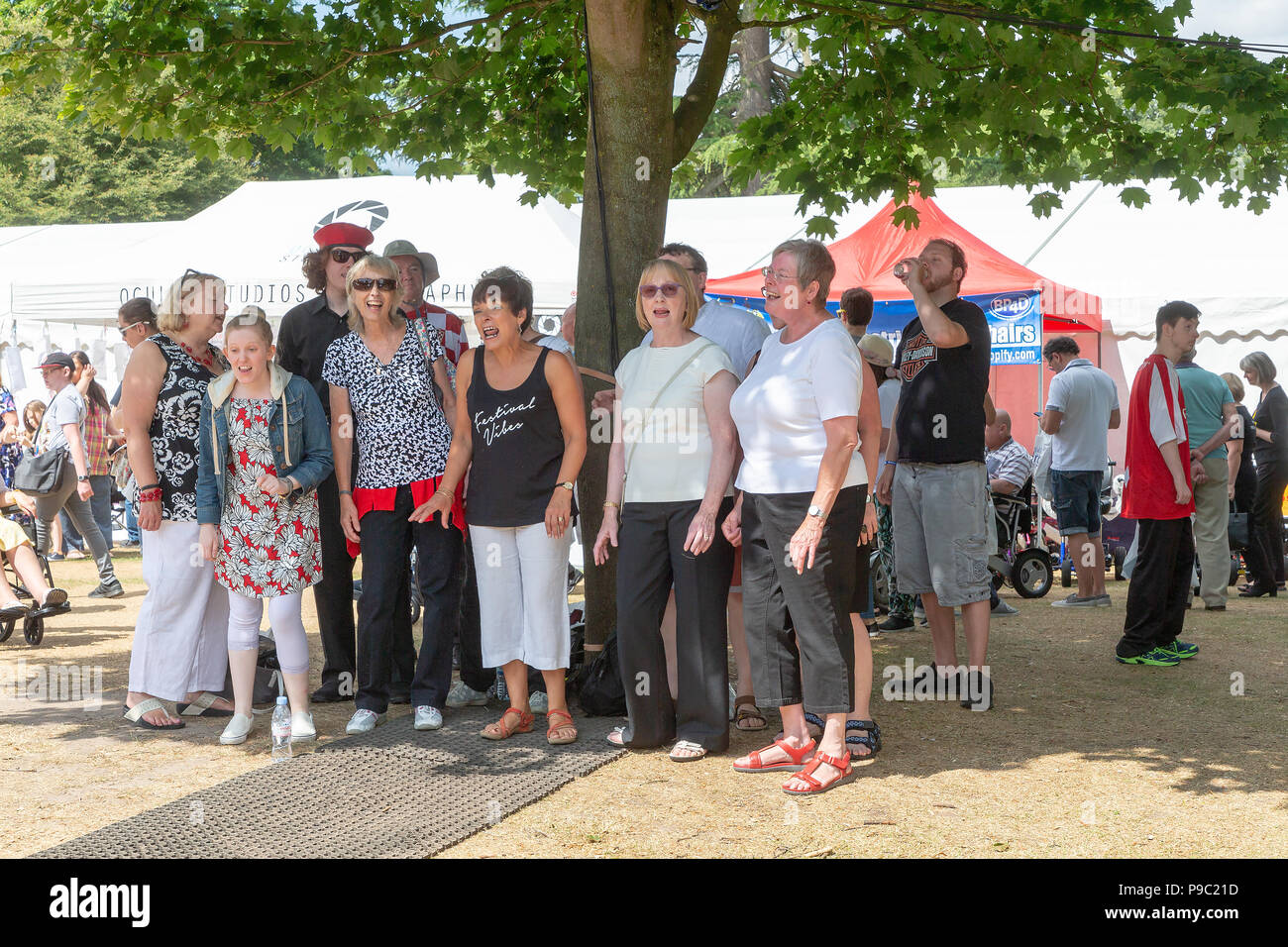 15 juillet 2018 - Partenariat Handicap Warrington a tenu sa 27e assemblée annuelle de l'événement Journée de sensibilisation à la situation des personnes handicapées dans le parc de Walton Hall and Gardens Banque D'Images