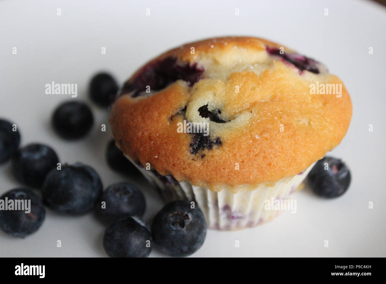 Muffins aux bleuets maison Banque D'Images