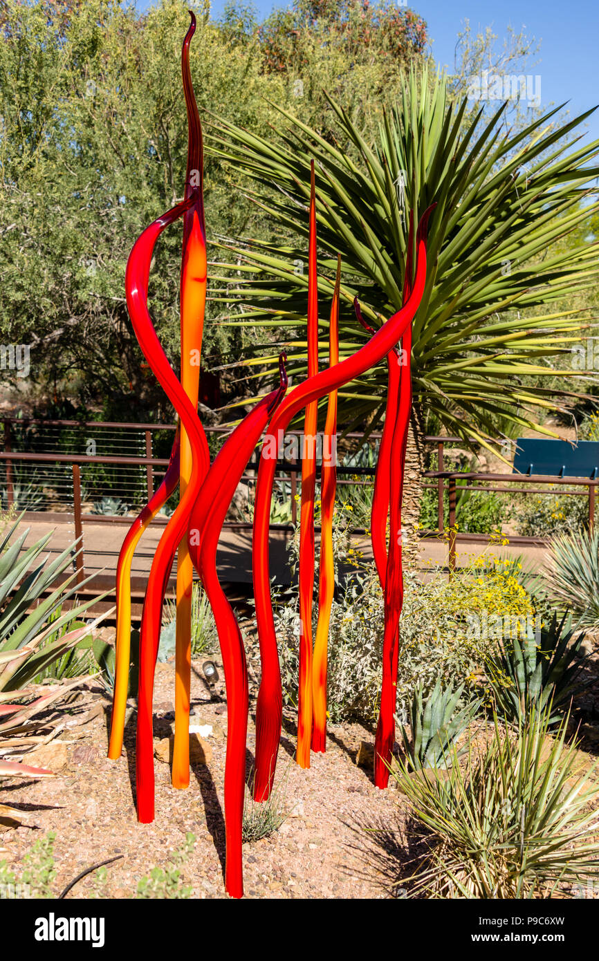 Chihuly Quenouilles à Desert Botanical Garden Banque D'Images