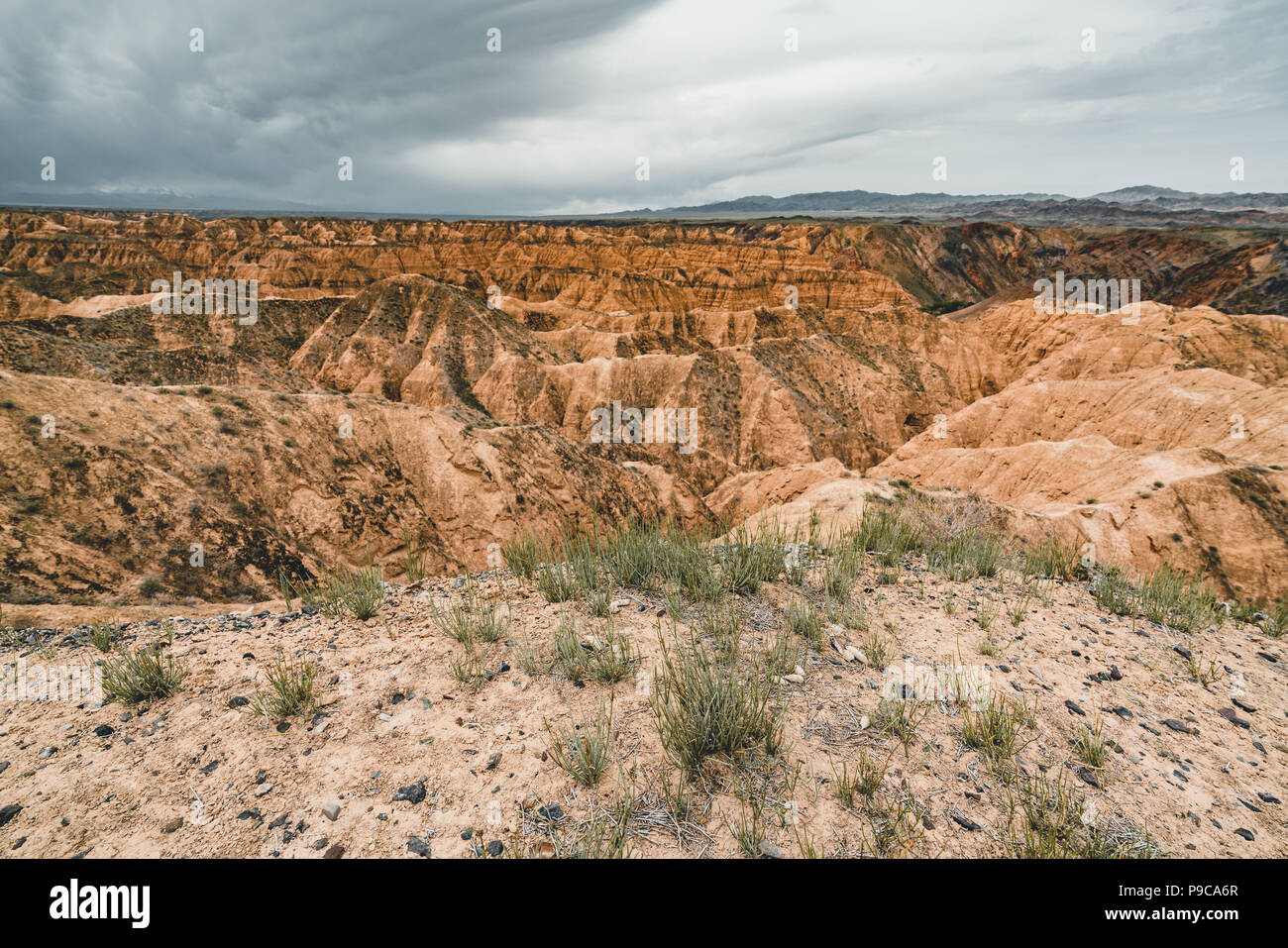Zhabyr jaune Canyon canyon dans le parc national, le Kazakhstan Auezov Banque D'Images