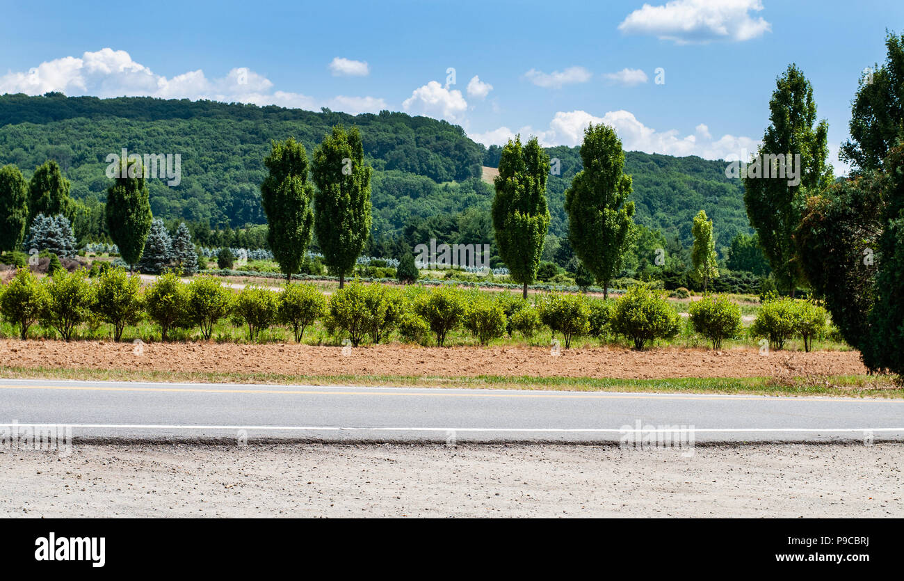 Route De Campagne Avec Des Arbres Entre La Route Des Champs Gazonnes Campagne Paysage Photo Stock Alamy Route De Campagne Avec Des Arbres Entre La Route Des Champs Gazonnes Campagne Paysage Photo Stock Alamy