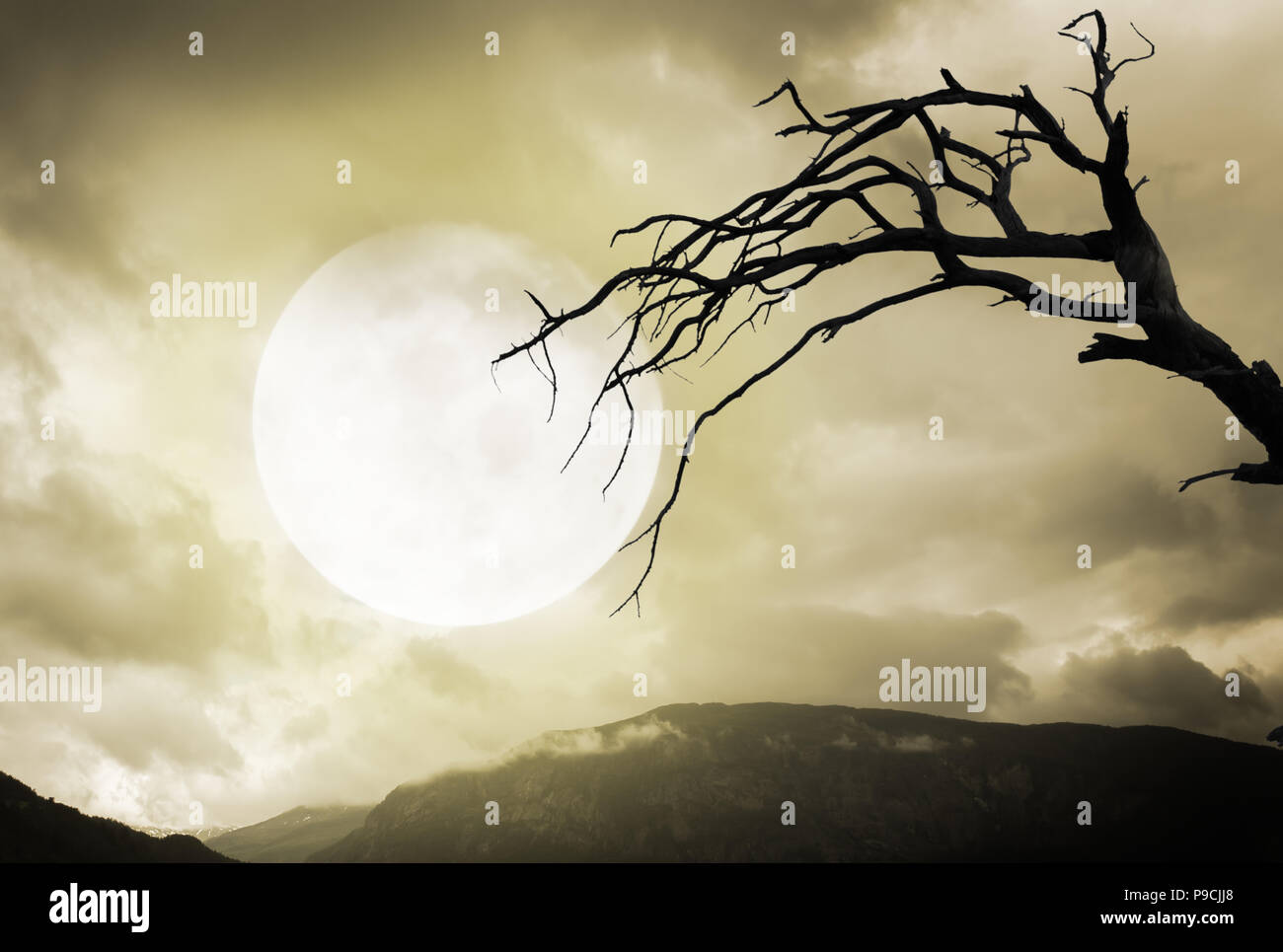 Arrière-plan de l'Halloween. Spooky dark mountains et arbre avec pleine lune Banque D'Images