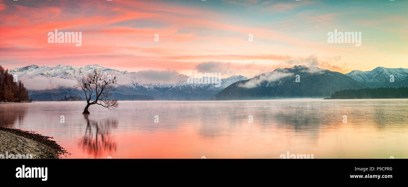 Un cololourful lever du soleil sur un matin d'hiver glacial au Lac Wanaka, dans l'île du sud de Nouvelle-Zélande, avec le fameux arbre, présentés comme les plus... Banque D'Images Un cololourful lever du soleil sur un matin d'hiver glacial au Lac Wanaka, dans l'île du sud de Nouvelle-Zélande, avec le fameux arbre, présentés comme les plus... Banque D'Images