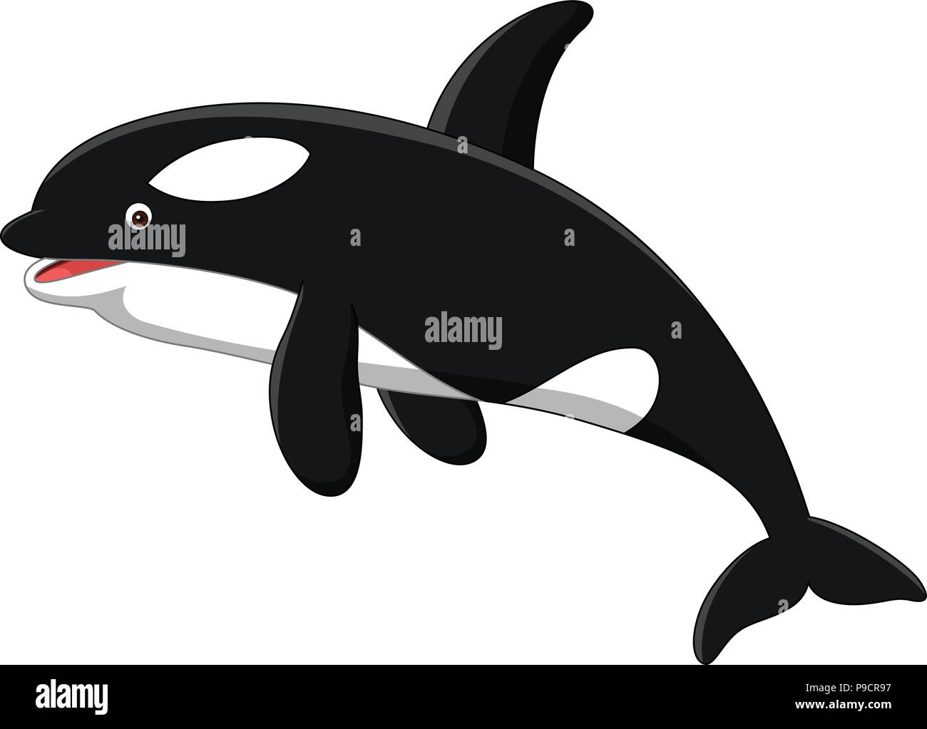 Cartoon orca isolé sur fond blanc Illustration de Vecteur