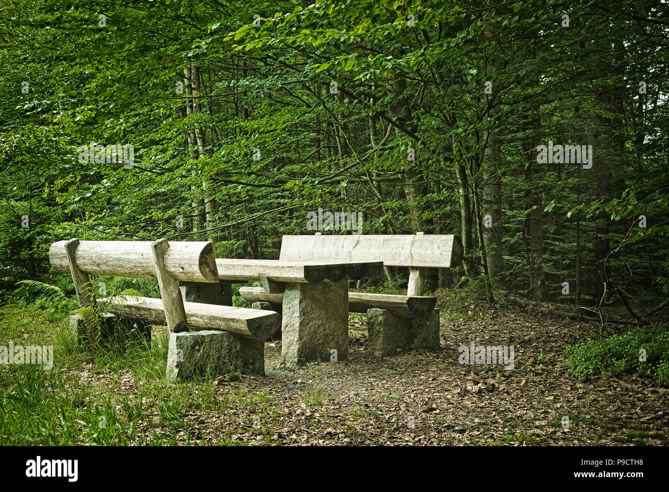 Table de pique-nique et bancs faits de troncs d'arbre dans une forêt, Bavaria, Germany, Europe Banque D'Images