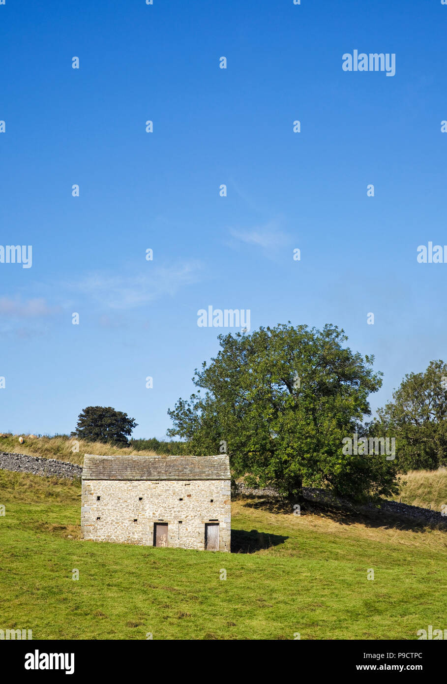 Grange en pierre et mur en pierre sèche dans le Yorkshire Dales National Park, England, UK Banque D'Images