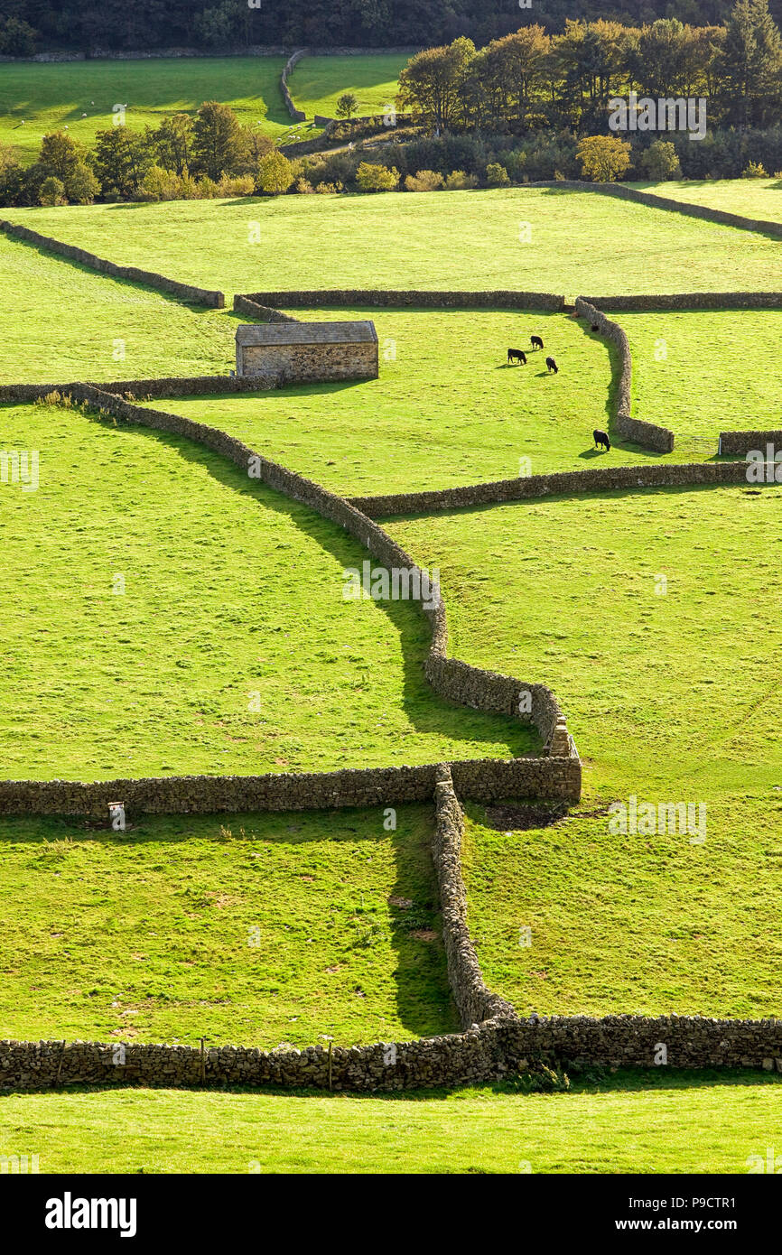 Les granges en pierre et murs en pierre sèche dans le Gunnerside à Yorkshire Dales National Park, England, UK Banque D'Images