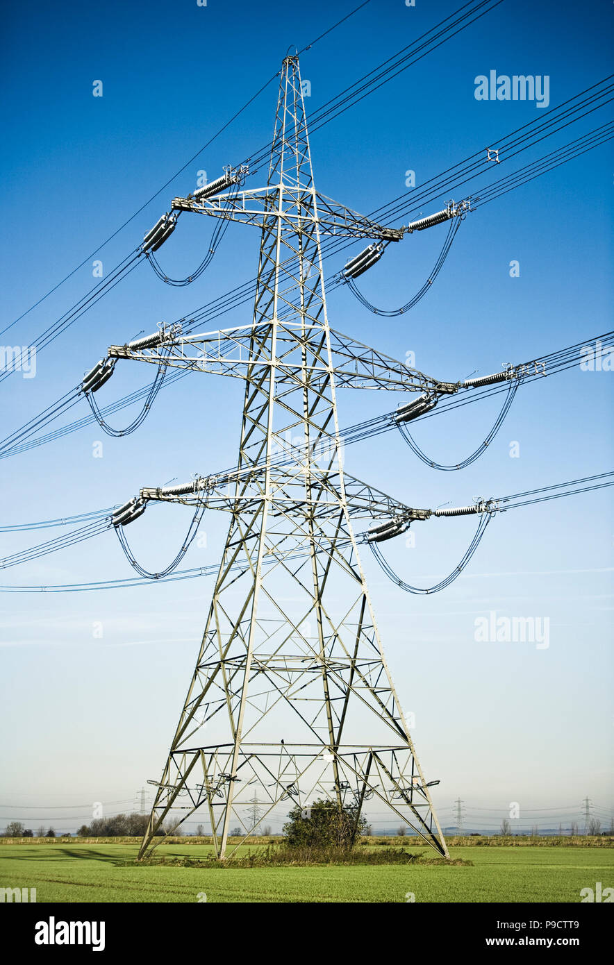 Paysage rural pylône de l'électricité dans un champ de cultures, England, UK Banque D'Images