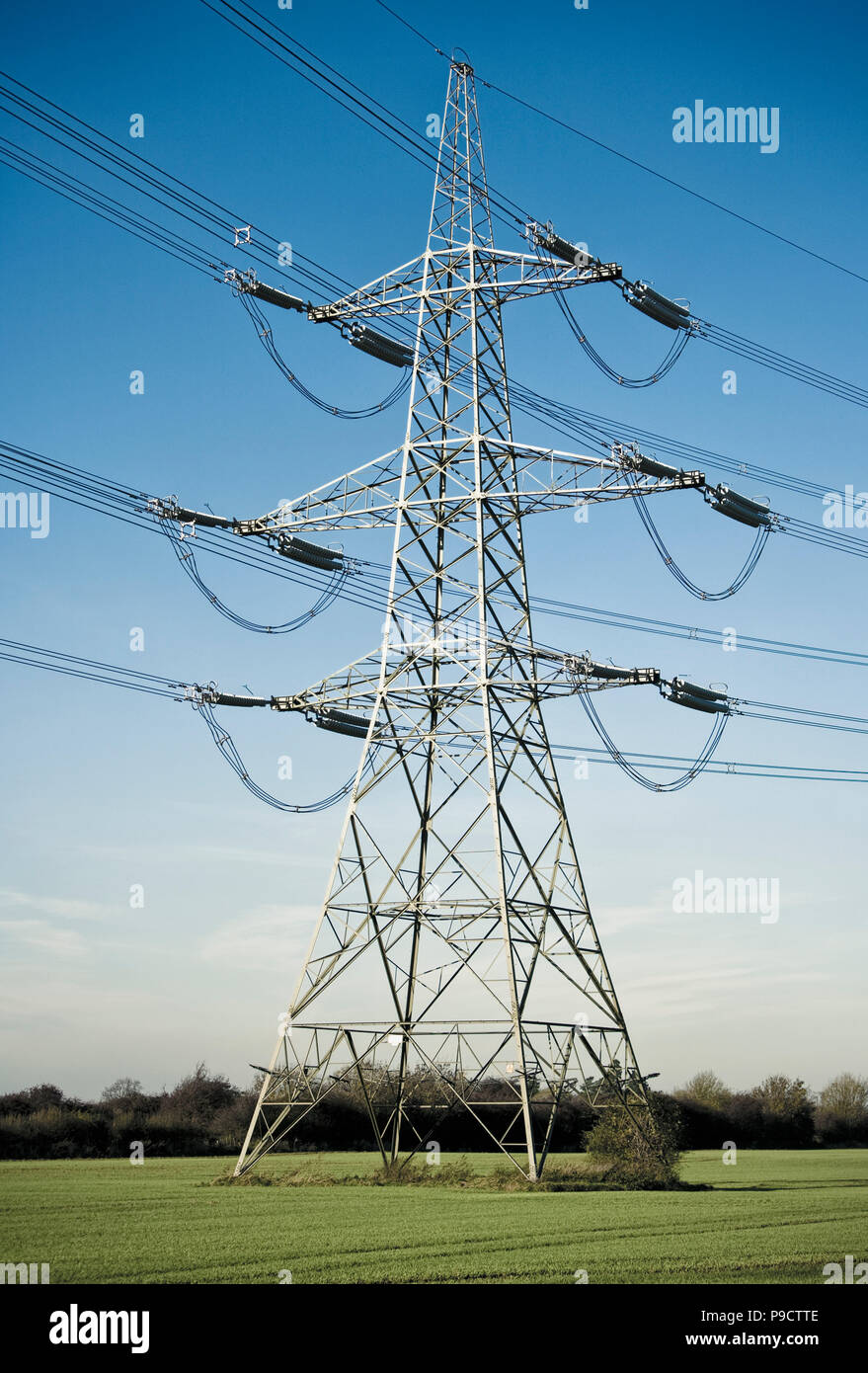 Paysage rural pylône de l'électricité dans un champ de cultures, England, UK Banque D'Images